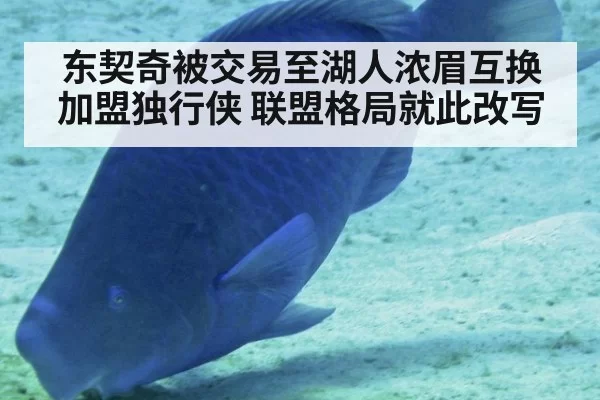 东契奇被交易至湖人浓眉互换加盟独行侠 联盟格局就此改写