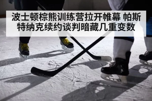 professional ice hockey player